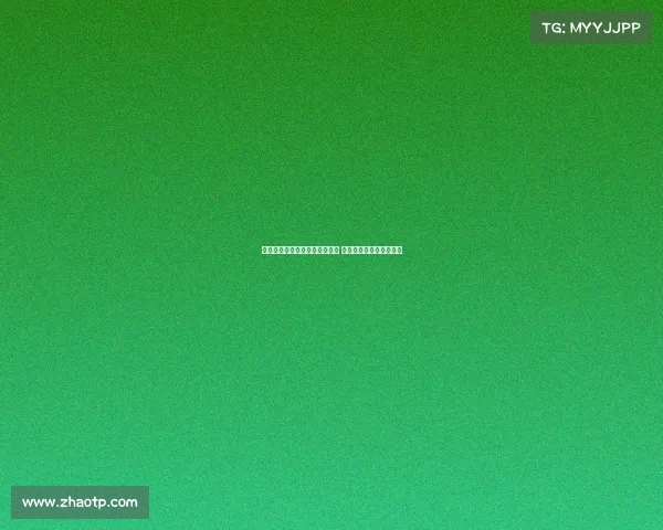 美职女篮季后赛席位争夺白热化 火花与梦想上演激烈对决